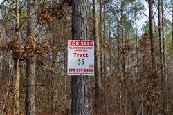 Lightning Ridge Tract 55