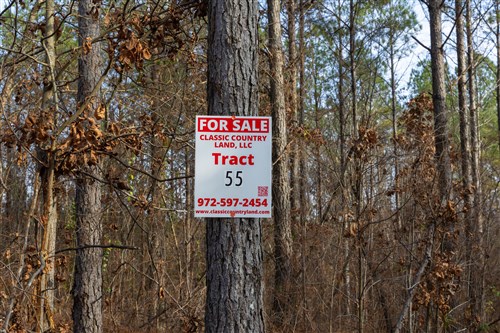 Lightning Ridge Tract 55