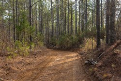 Lightning Ridge Tract 55