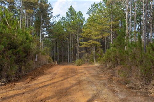 Lightning Ridge Tract 55