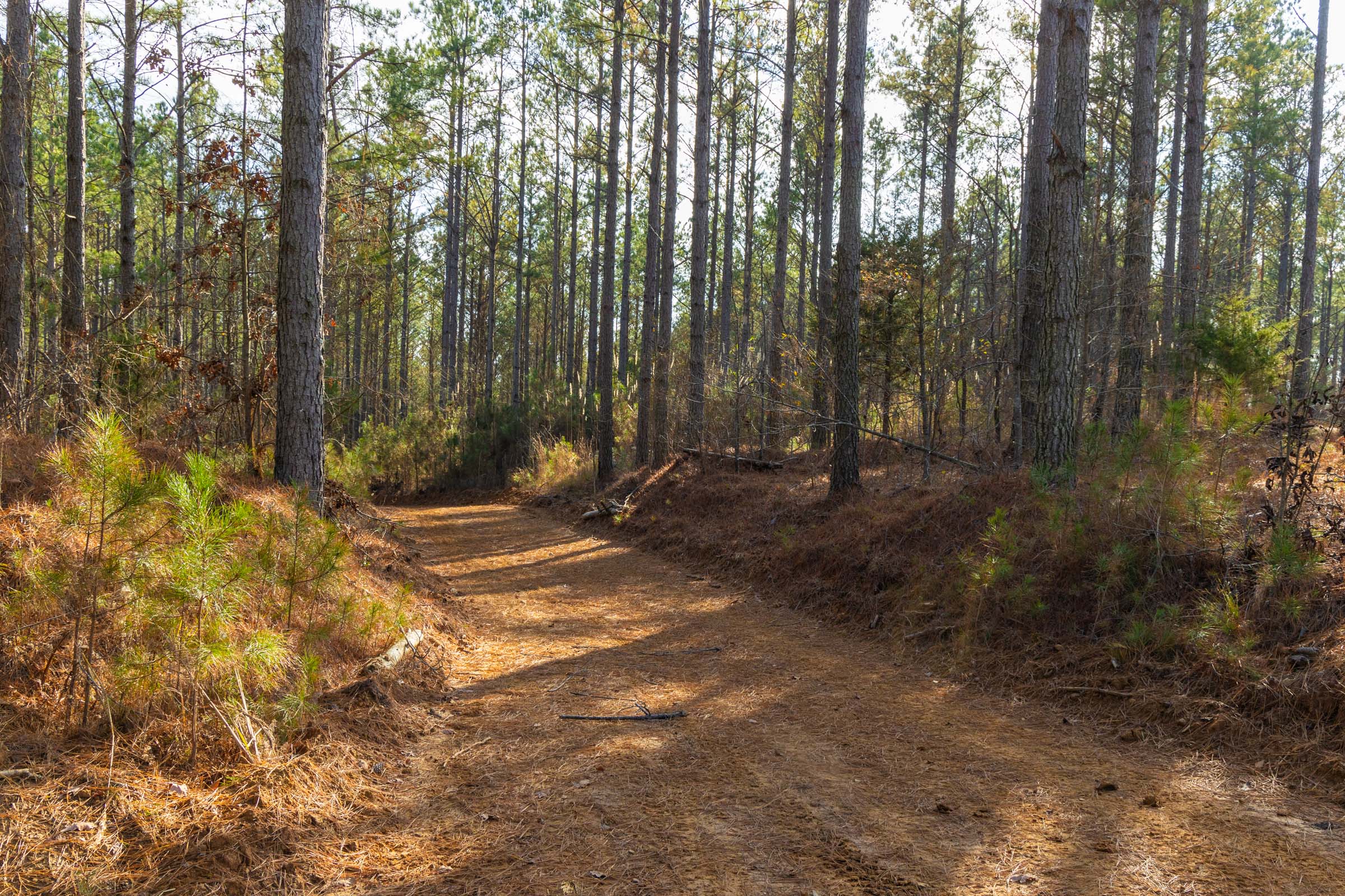 Tract 56 at Lightning Ridge in ColbertFranklin County, Alabama