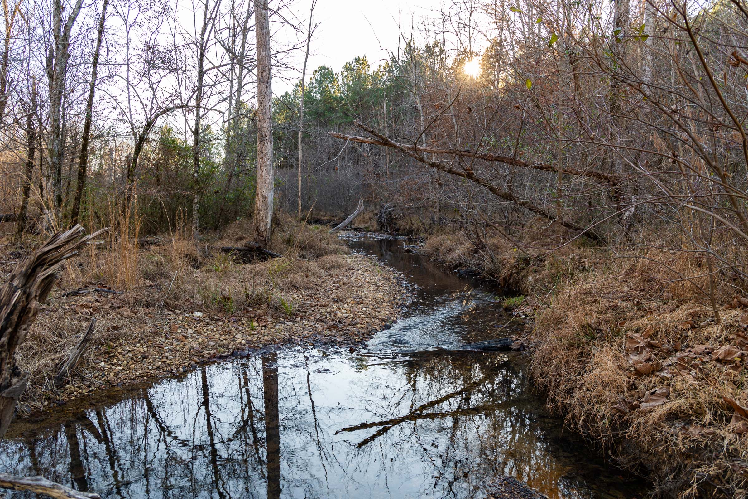 Tract 57 at Lightning Ridge in ColbertFranklin County, Alabama