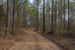 Lightning Ridge Tract 59