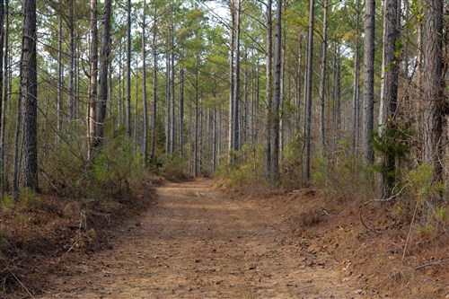 Lightning Ridge Tract 59