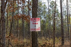 Lightning Ridge Tract 6