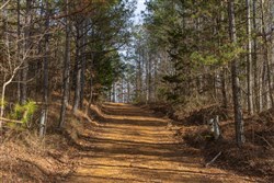 Lightning Ridge Tract 6