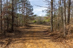 Lightning Ridge Tract 6