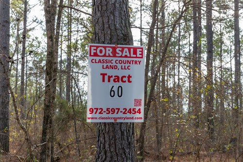 Lightning Ridge Tract 60