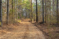 Lightning Ridge Tract 60