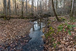 Lightning Ridge Tract 60