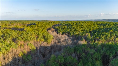 Lightning Ridge Tract 61