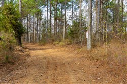 Lightning Ridge Tract 61