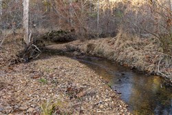 Lightning Ridge Tract 61