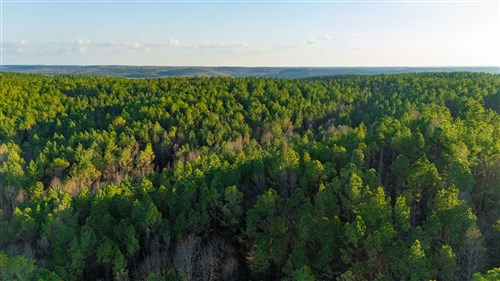 Lightning Ridge Tract 62