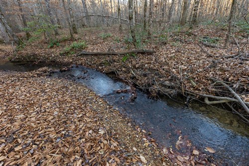 Lightning Ridge Tract 62