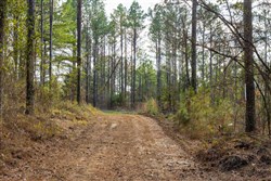 Lightning Ridge Tract 62