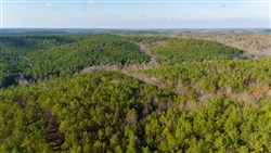 Lightning Ridge Tract 63