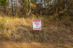 Lightning Ridge Tract 63