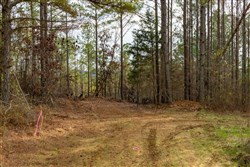 Lightning Ridge Tract 63