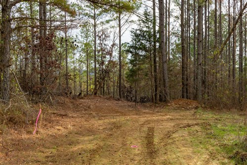 Lightning Ridge Tract 63