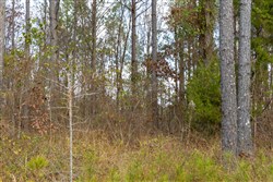 Lightning Ridge Tract 63