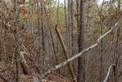 Lightning Ridge Tract 63