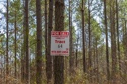 Lightning Ridge Tract 64