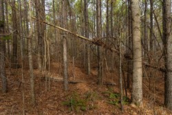 Lightning Ridge Tract 64