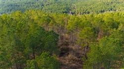 Lightning Ridge Tract 65