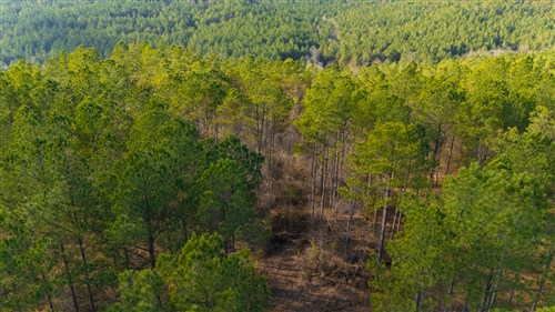 Lightning Ridge Tract 65