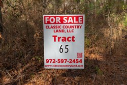 Lightning Ridge Tract 65