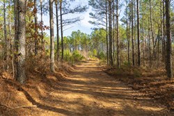 Lightning Ridge Tract 65