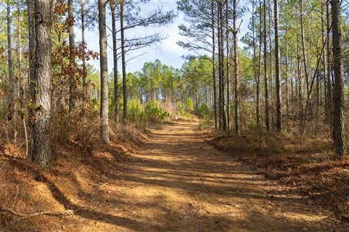 Lightning Ridge Tract 65