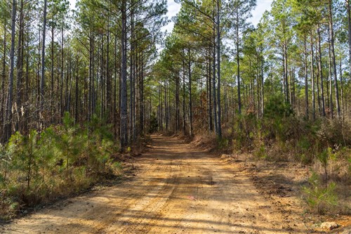 Lightning Ridge Tract 66