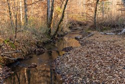 Lightning Ridge Tract 66