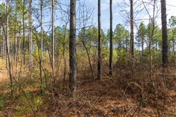 Lightning Ridge Tract 66