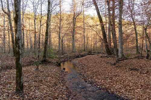 Lightning Ridge Tract 67