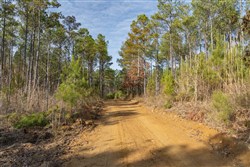 Lightning Ridge Tract 67