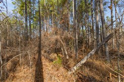 Lightning Ridge Tract 67