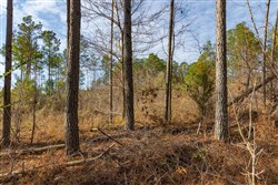 Lightning Ridge Tract 67