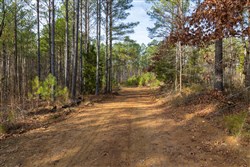 Lightning Ridge Tract 68