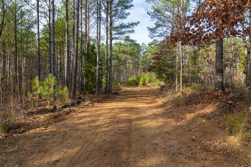 Lightning Ridge Tract 68