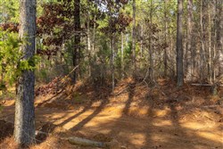 Lightning Ridge Tract 68