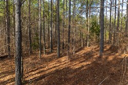 Lightning Ridge Tract 68