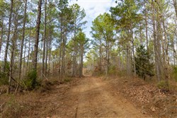 Lightning Ridge Tract 69