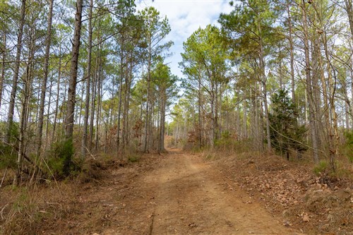 Lightning Ridge Tract 69