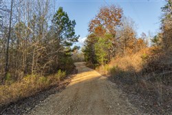 Lightning Ridge Tract 7
