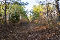 Lightning Ridge Tract 7