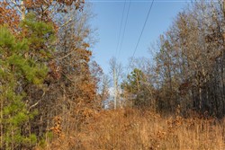 Lightning Ridge Tract 7