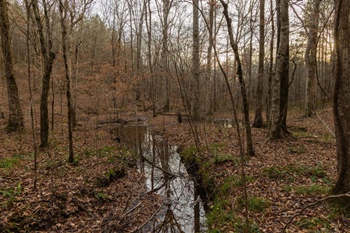 Lightning Ridge Tract 70